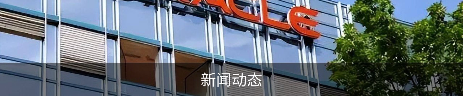 新闻动态